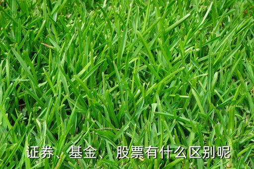  證券、基金、 股票有什么區(qū)別呢