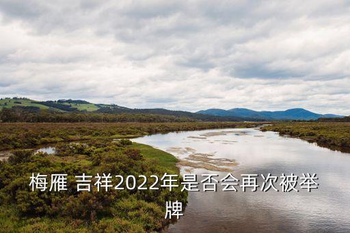 梅雁 吉祥2022年是否會(huì)再次被舉牌