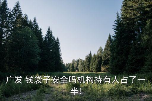 廣發(fā) 錢袋子安全嗎機構(gòu)持有人占了一半!