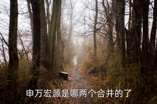 申萬(wàn)宏源是哪兩個(gè)合并的了