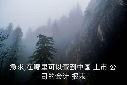急求,在哪里可以查到中國 上市 公司的會計(jì) 報(bào)表