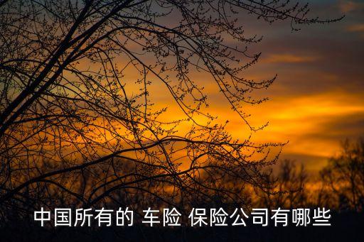 車(chē)險(xiǎn)保險(xiǎn)公司有那些
