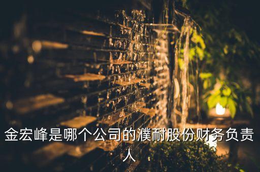 金宏峰是哪個公司的濮耐股份財務(wù)負責人