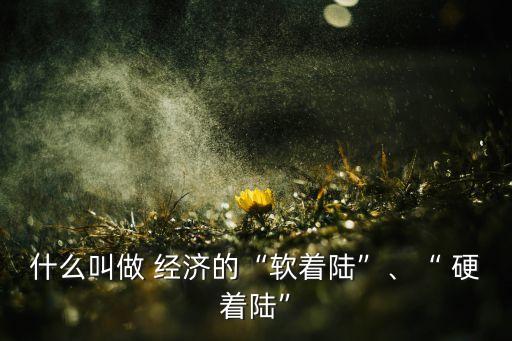 什么叫做 經(jīng)濟(jì)的“軟著陸”、“ 硬著陸”