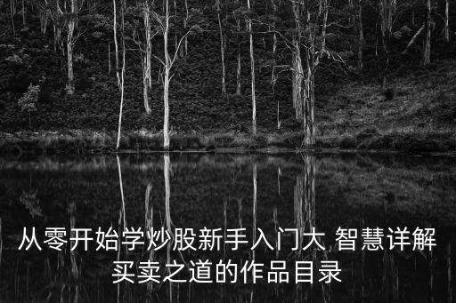 從零開(kāi)始學(xué)炒股新手入門大 智慧詳解買賣之道的作品目錄