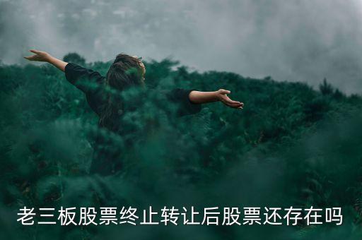 老三板股票終止轉讓后股票還存在嗎