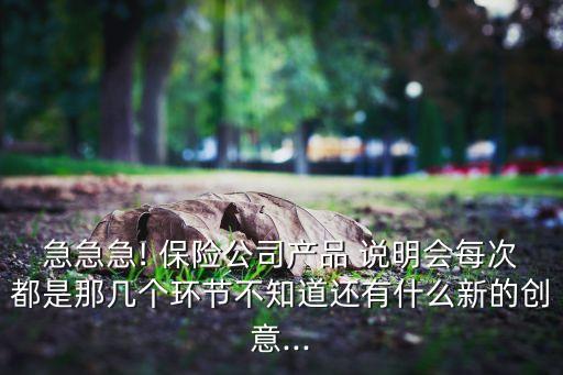 急急急! 保險(xiǎn)公司產(chǎn)品 說明會每次都是那幾個(gè)環(huán)節(jié)不知道還有什么新的創(chuàng)意...