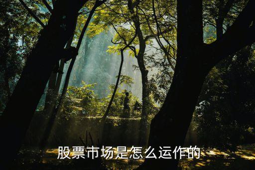  股票市場(chǎng)是怎么運(yùn)作的