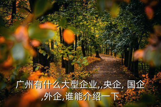 立白集團(tuán)是國企嗎,廣州立白科技集團(tuán)是國企嗎