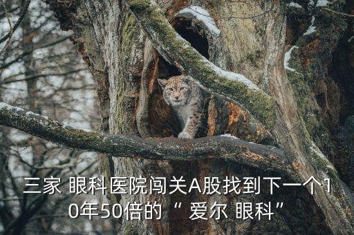 三家 眼科醫(yī)院闖關A股找到下一個10年50倍的“ 愛爾 眼科”