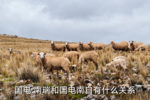 國(guó)電 南瑞和國(guó)電南自有什么關(guān)系