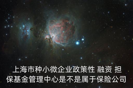  上海市種小微企業(yè)政策性 融資 擔(dān)?；鸸芾碇行氖遣皇菍儆诒ｋU公司