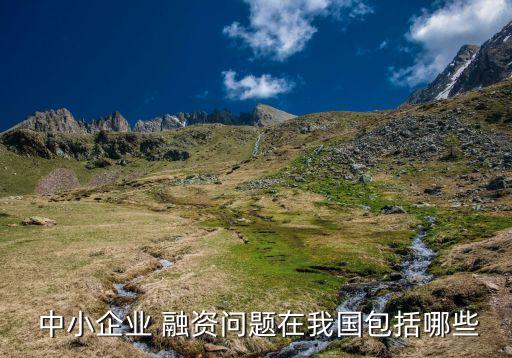  中小企業(yè) 融資問題在我國(guó)包括哪些