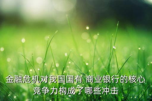 金融危機對我國國有 商業(yè)銀行的核心競爭力構(gòu)成了哪些沖擊