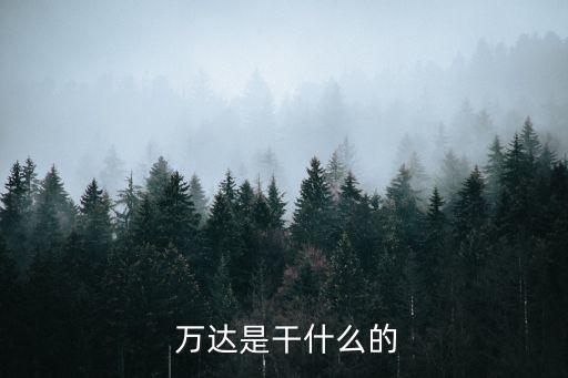  萬(wàn)達(dá)是干什么的