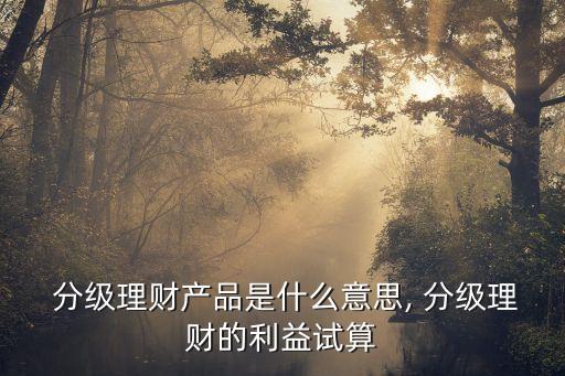  分級理財產品是什么意思, 分級理財?shù)睦嬖囁? class=