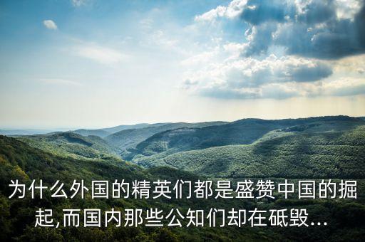 為什么外國的精英們都是盛贊中國的掘起,而國內那些公知們卻在砥毀...