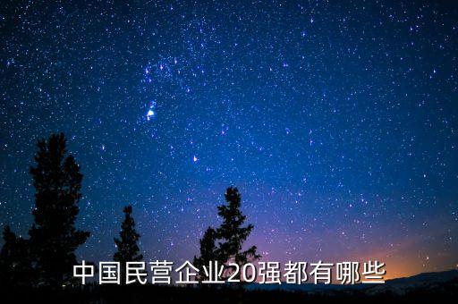 中國(guó)民營(yíng)企業(yè)20強(qiáng)都有哪些