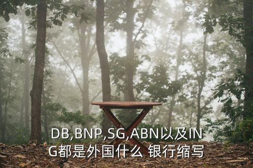 DB,BNP,SG,ABN以及ING都是外國(guó)什么 銀行縮寫(xiě)