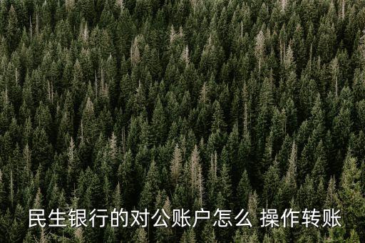  民生銀行的對(duì)公賬戶怎么 操作轉(zhuǎn)賬