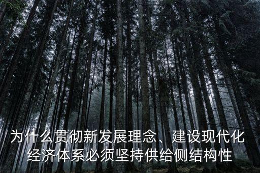 為什么貫徹新發(fā)展理念、建設(shè)現(xiàn)代化 經(jīng)濟(jì)體系必須堅(jiān)持供給側(cè)結(jié)構(gòu)性