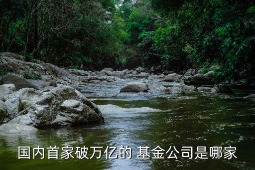 國(guó)內(nèi)首家破萬(wàn)億的 基金公司是哪家