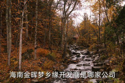 海南金暉夢(mèng)鄉(xiāng)緣開(kāi)發(fā)商是哪家公司