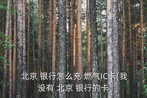  北京 銀行怎么充 燃?xì)釯C卡(我沒(méi)有 北京 銀行的卡