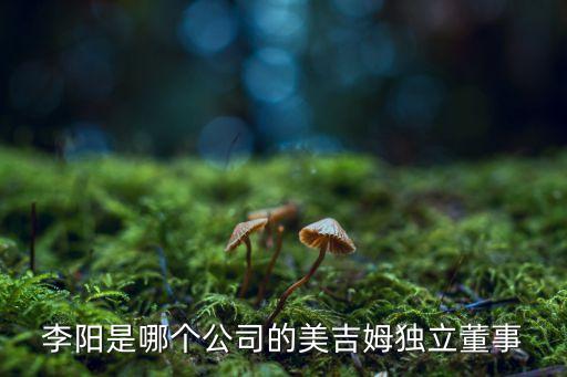 李陽是哪個公司的美吉姆獨(dú)立董事