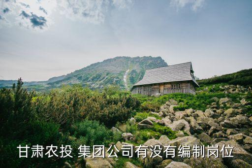 甘肅農(nóng)投 集團(tuán)公司有沒(méi)有編制崗位