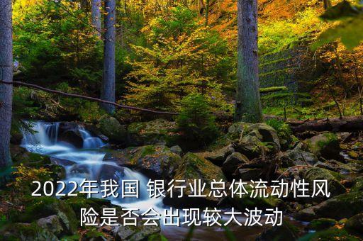 2022年我國 銀行業(yè)總體流動(dòng)性風(fēng)險(xiǎn)是否會(huì)出現(xiàn)較大波動(dòng)