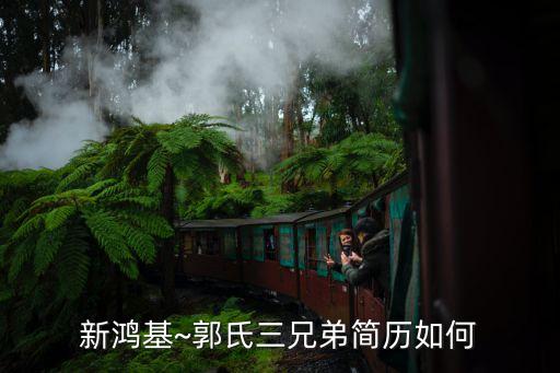 新鴻基~郭氏三兄弟簡(jiǎn)歷如何