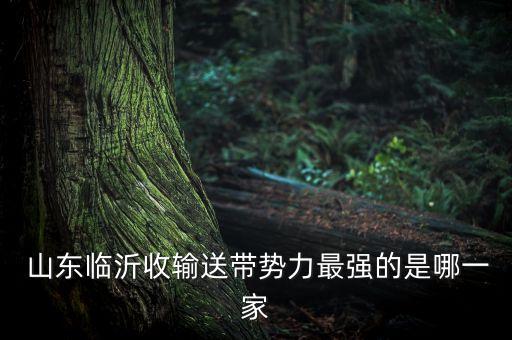  山東臨沂收輸送帶勢力最強(qiáng)的是哪一家