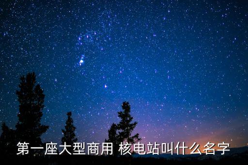 中國核電技術(shù)裝備 走出去 產(chǎn)業(yè)聯(lián)盟