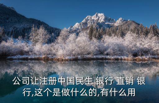 公司讓注冊(cè)中國(guó)民生 銀行 直銷 銀行,這個(gè)是做什么的,有什么用