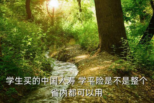 學(xué)生買(mǎi)的中國(guó)人壽 學(xué)平險(xiǎn)是不是整個(gè)省內(nèi)都可以用