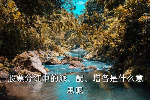  股票分紅中的派、配、增各是什么意思呢