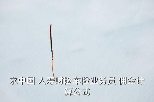求中國 人壽財險車險業(yè)務(wù)員 傭金計算公式