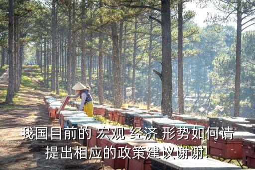 中國目前宏觀經(jīng)濟(jì)形勢,中國宏觀經(jīng)濟(jì)形勢分析與預(yù)測年度報(bào)告