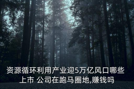 資源循環(huán)利用產(chǎn)業(yè)迎5萬(wàn)億風(fēng)口哪些 上市 公司在跑馬圈地,賺錢嗎