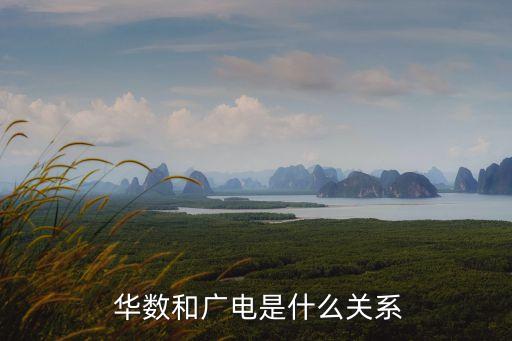  華數(shù)和廣電是什么關系