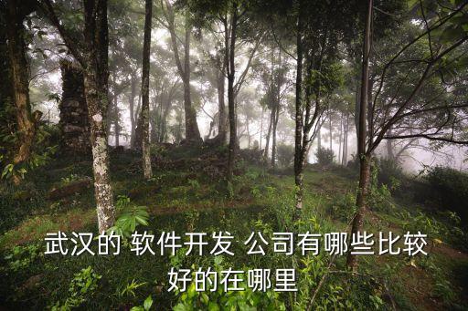 武漢華軟軟件有限責任公司,武漢中興軟件有限責任公司和中興的關(guān)系