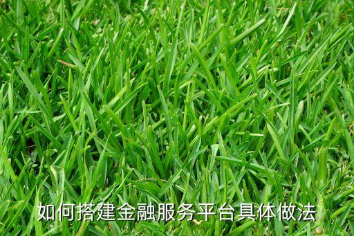 如何搭建金融服務(wù)平臺具體做法