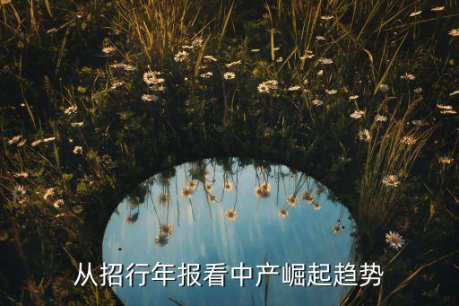 中國財(cái)富金字塔,財(cái)富金字塔三個層次比例