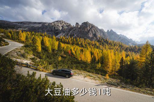  大豆油多少錢(qián)1噸