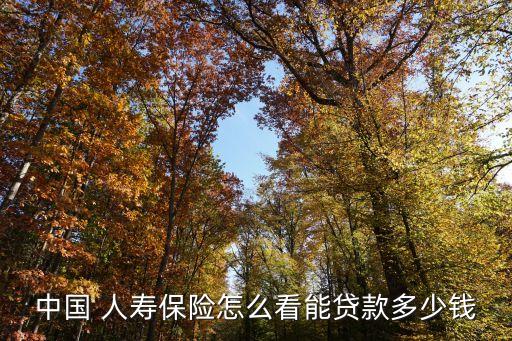 中國(guó) 人壽保險(xiǎn)怎么看能貸款多少錢(qián)