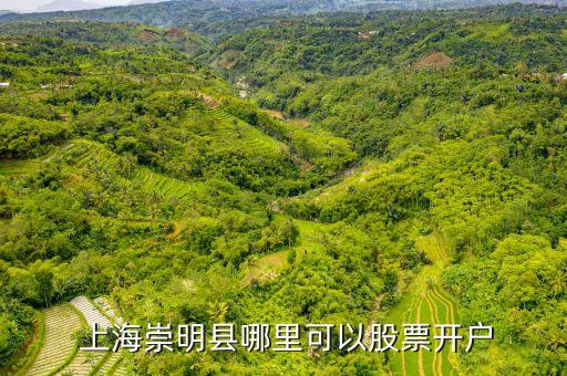  上海崇明縣哪里可以股票開(kāi)戶(hù)