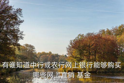 有誰(shuí)知道中行或農(nóng)行網(wǎng)上銀行能夠購(gòu)買哪些網(wǎng)上直銷 基金