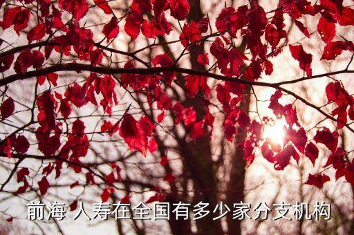  前海 人壽在全國有多少家分支機構(gòu)