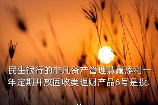  民生銀行的非凡資產(chǎn)管理慧贏添利一年定期開(kāi)放固收類理財(cái)產(chǎn)品6號(hào)是投...